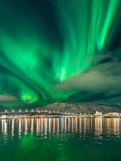 Northern lights representing Aurora Tutoring Hub
